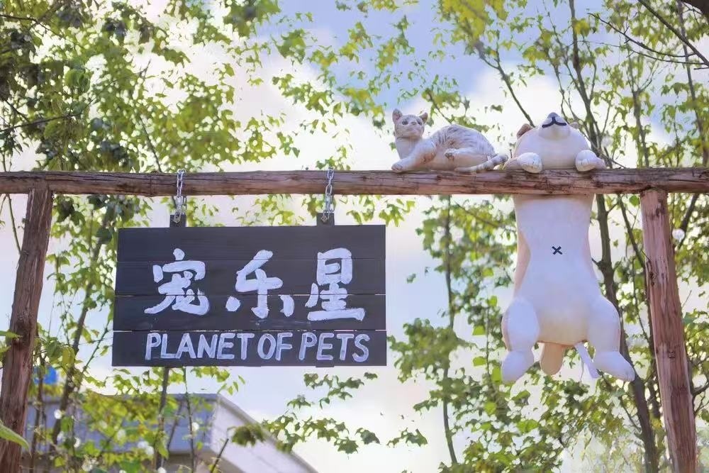 五华宠乐星精致宠物火化